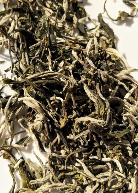 First Flush Mao Feng Green Tea - Cupify