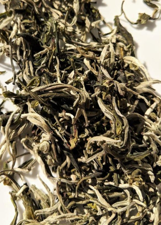 First Flush Mao Feng Green Tea - Cupify Cupify