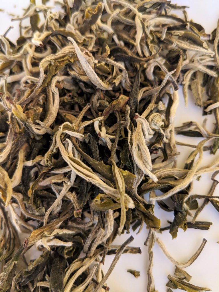 First Flush Mao Feng Green Tea - Cupify