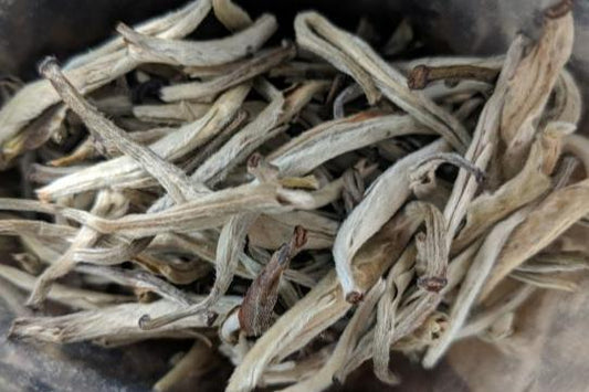 Organic Jasmine Silver Needle White Tea