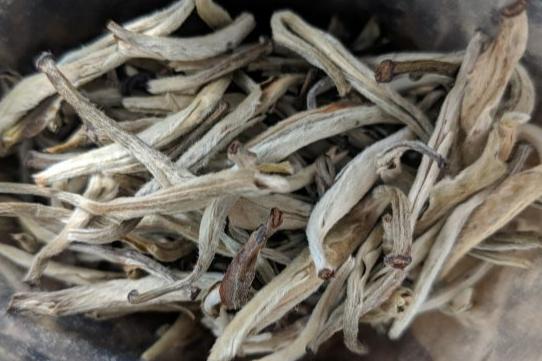 Organic Jasmine Silver Needle White Tea - Cupify