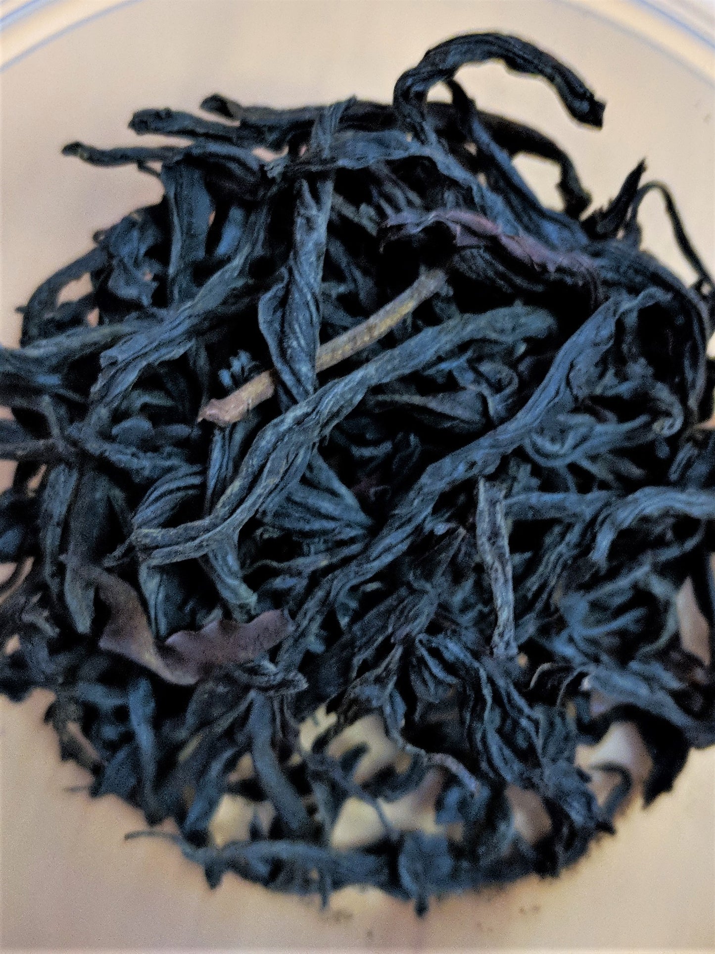 Wild Tree Purple Black Tea