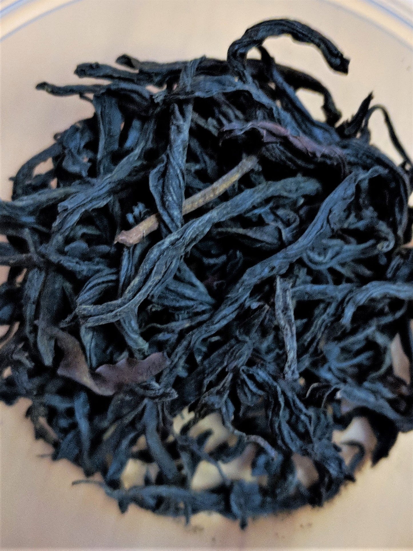 Wild Tree Purple Black Tea - Cupify