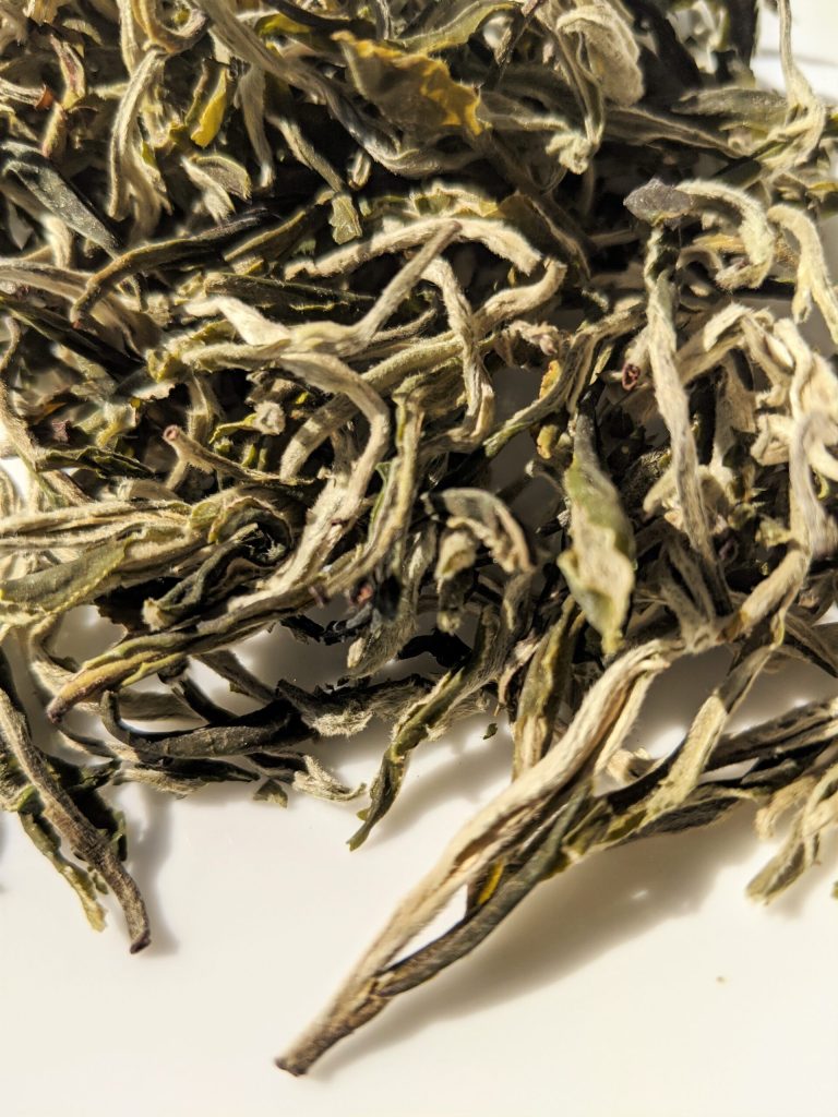 First Flush Mao Feng Green Tea