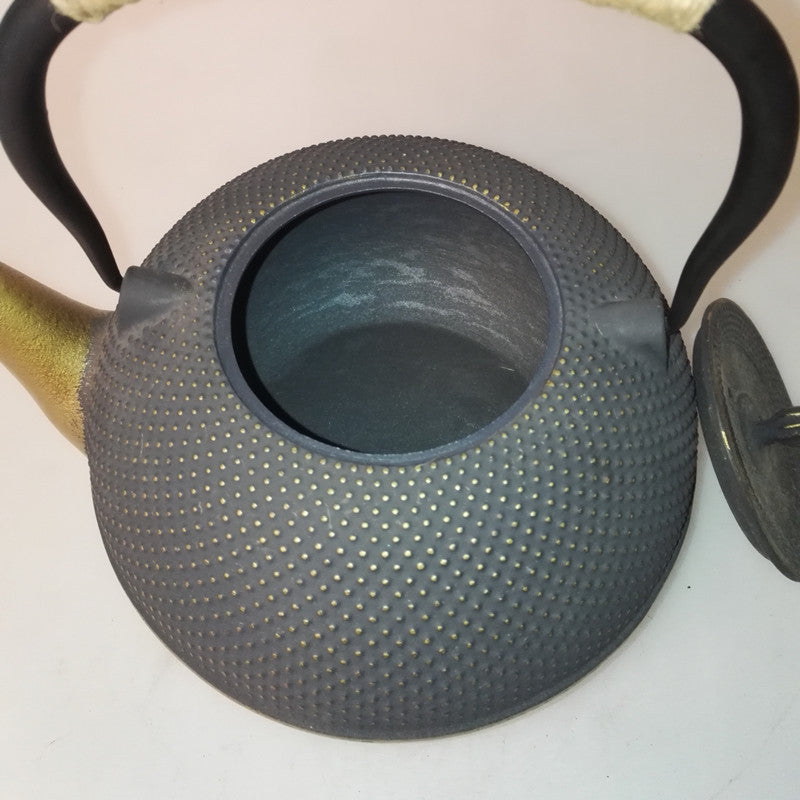 Cast Iron Tea Kettle - Cupify